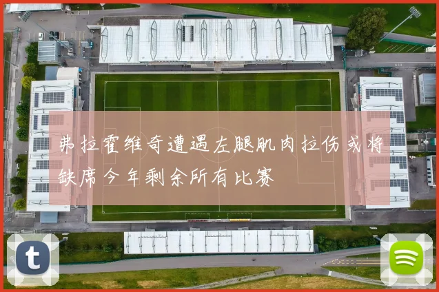 弗拉霍维奇遭遇左腿肌肉拉伤或将缺席今年剩余所有比赛