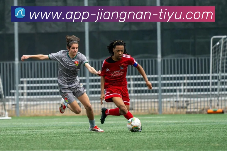 江南体育平台生态图